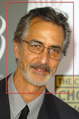 David Strathairn