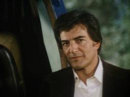 Len Birman