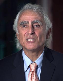 Michael Salla