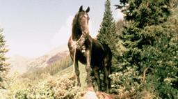 Highland Dale