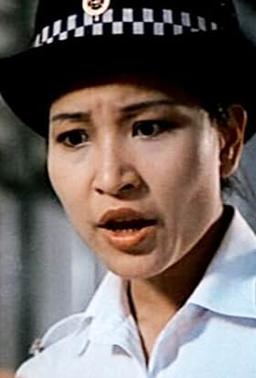 Chi Jan Ha