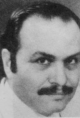 Ferdi Merter