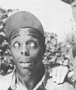Ernest Morrison