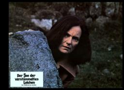 Dilys Hamlett