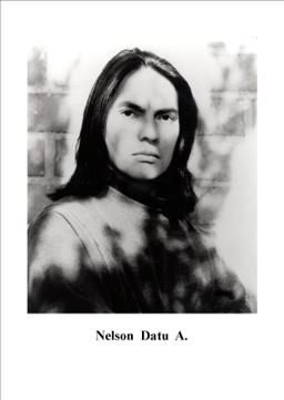 Nelson Datu Anderson