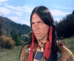 Don Shanks
