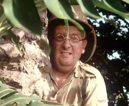 Don Estelle