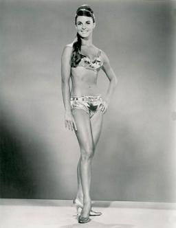 Salli Sachse