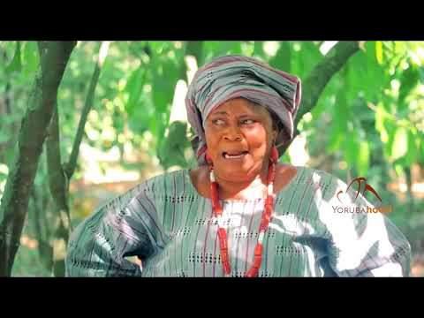 Ibujoko