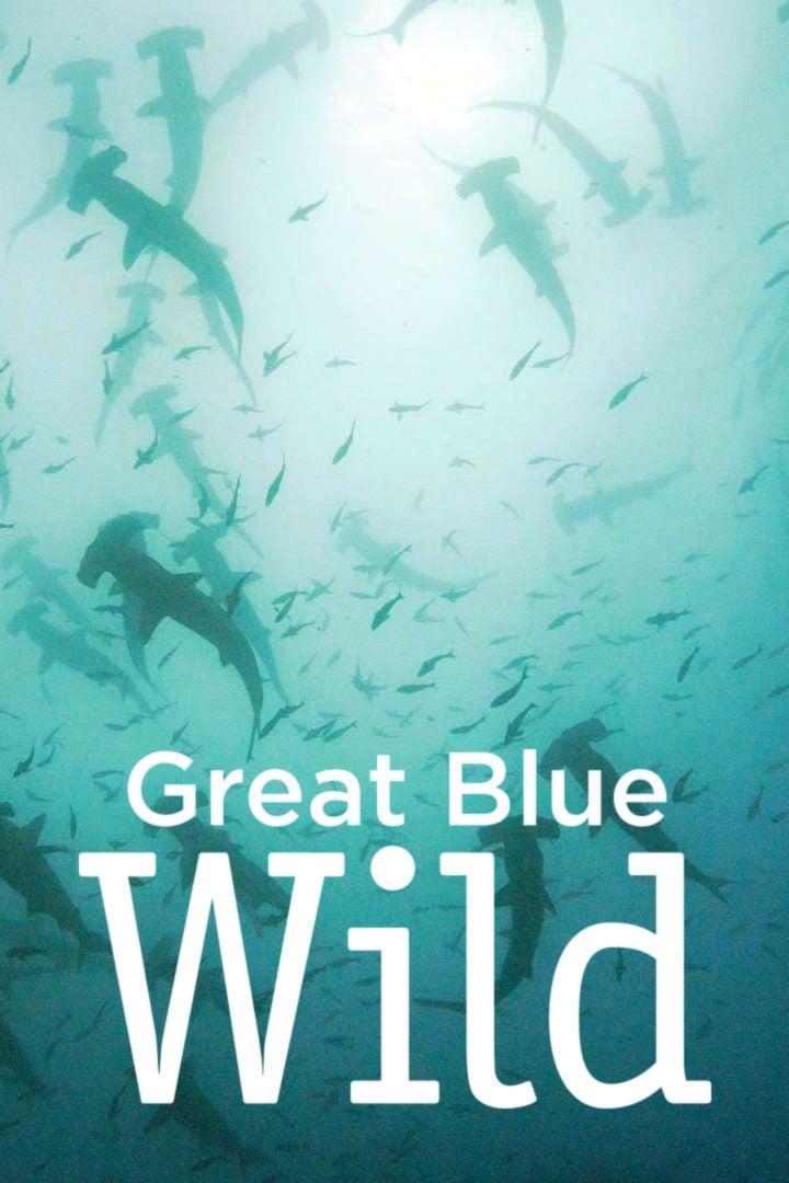 Great Blue Wild S1-S3