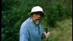 Herb Graham