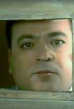 Hristos Valavanidis