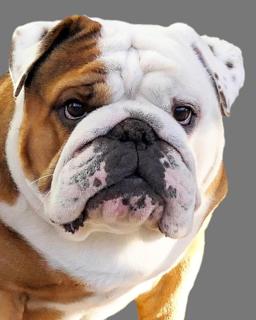 Walter