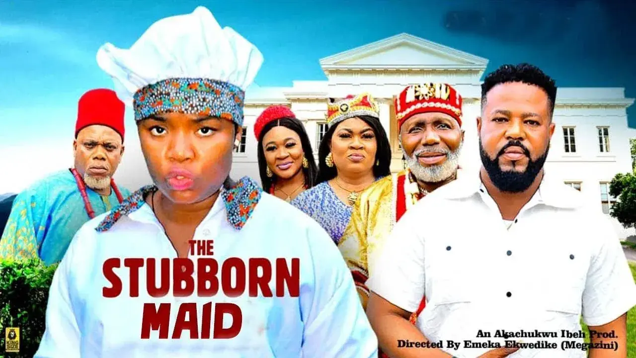 THE STUBBORN CRAZY CHEF