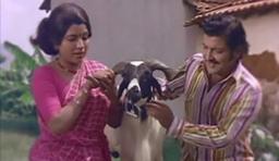 Sripriya